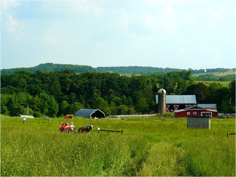 Owens Farm - Where & When