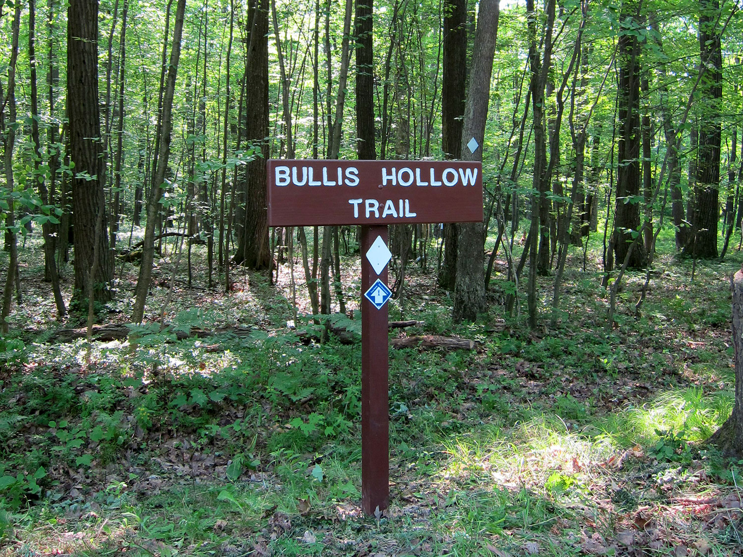 Bullis Hollow Trail