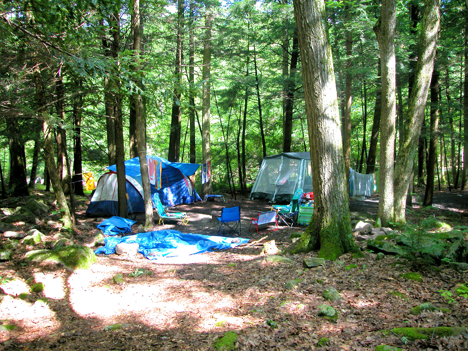 Tent Camping at Reeds Gap State Park