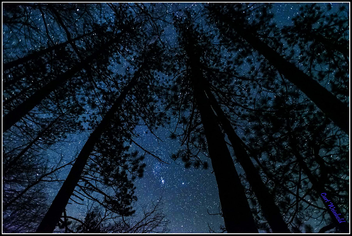 Night Sky in Tioga County, PA.