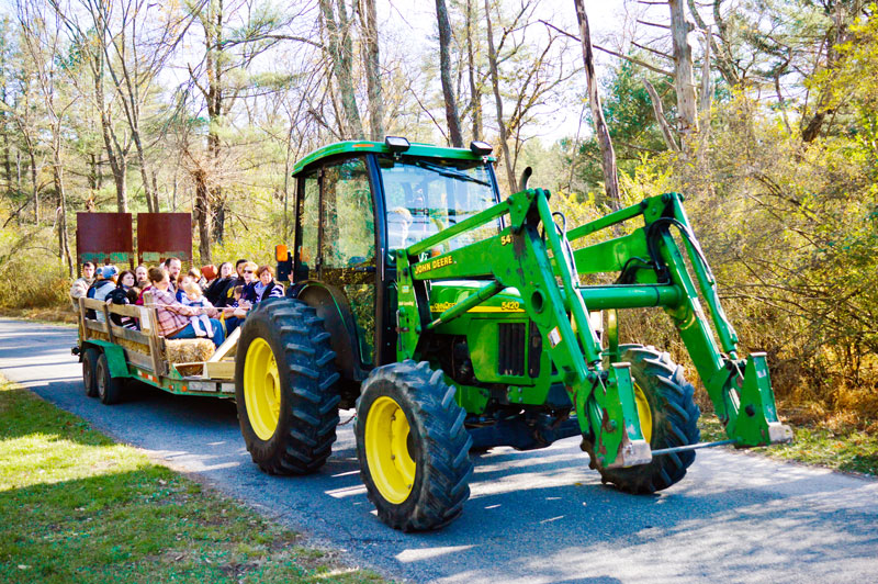 Fall Furnace Fest