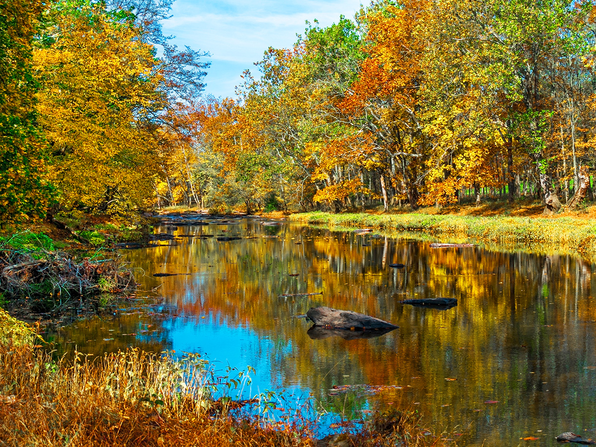 Tohickon-Creek-Bucks-Co PA
