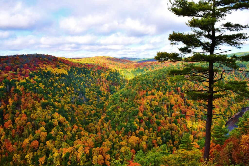 Pennsylvania Grand Canyon