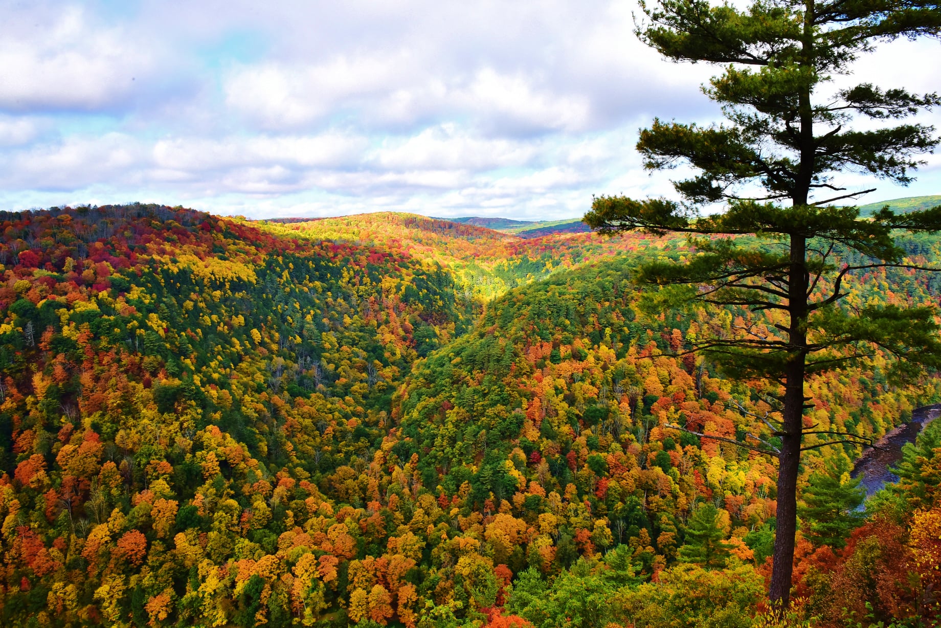 Pennsylvania Grand Canyon