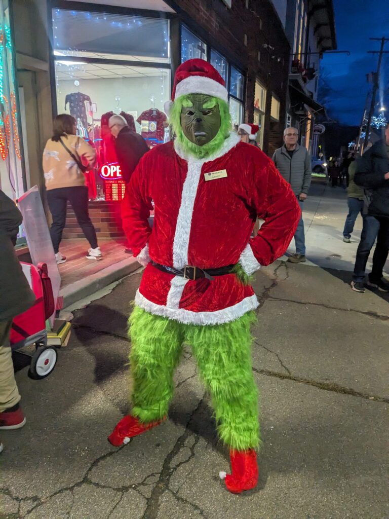 Grinch-from-Sugar-Grove-Christmas