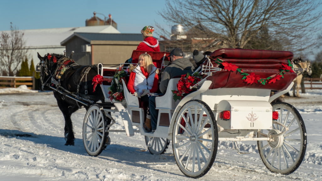 Port Farms Country Christmas