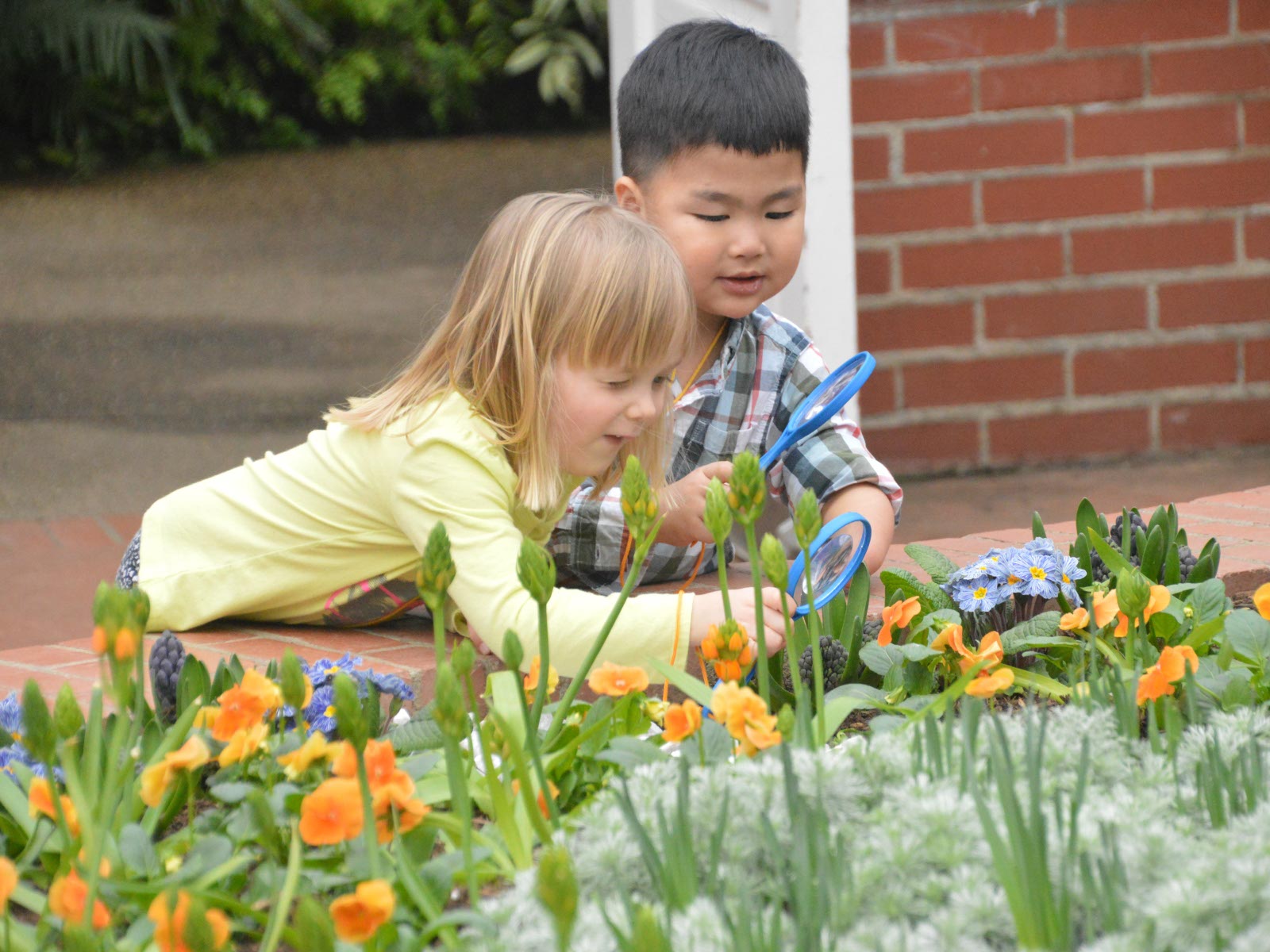 Children's Camps at Phipps Conswervatory and Botanical Gardens CREDIT_Phipps Staff