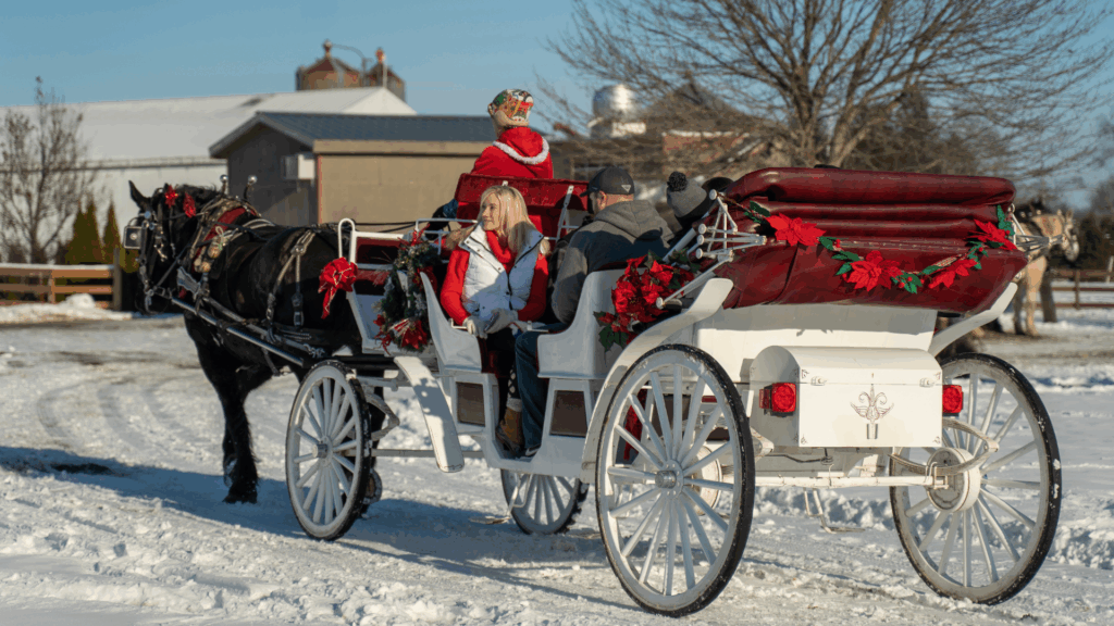 Country Christmas at the Farm at Port Farms Carriage Ride