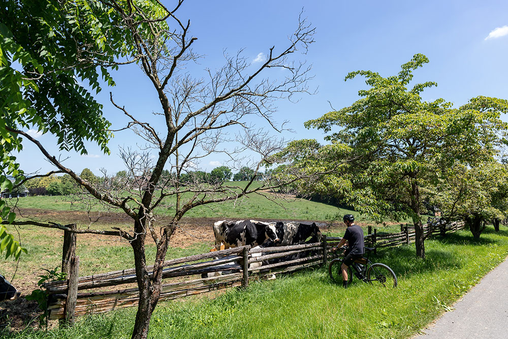 Happy Valley Gravel Adventure