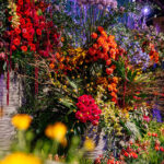 PHS-Philadelphia-Flower-Show-2026_Credit-Becca-Mathias7W