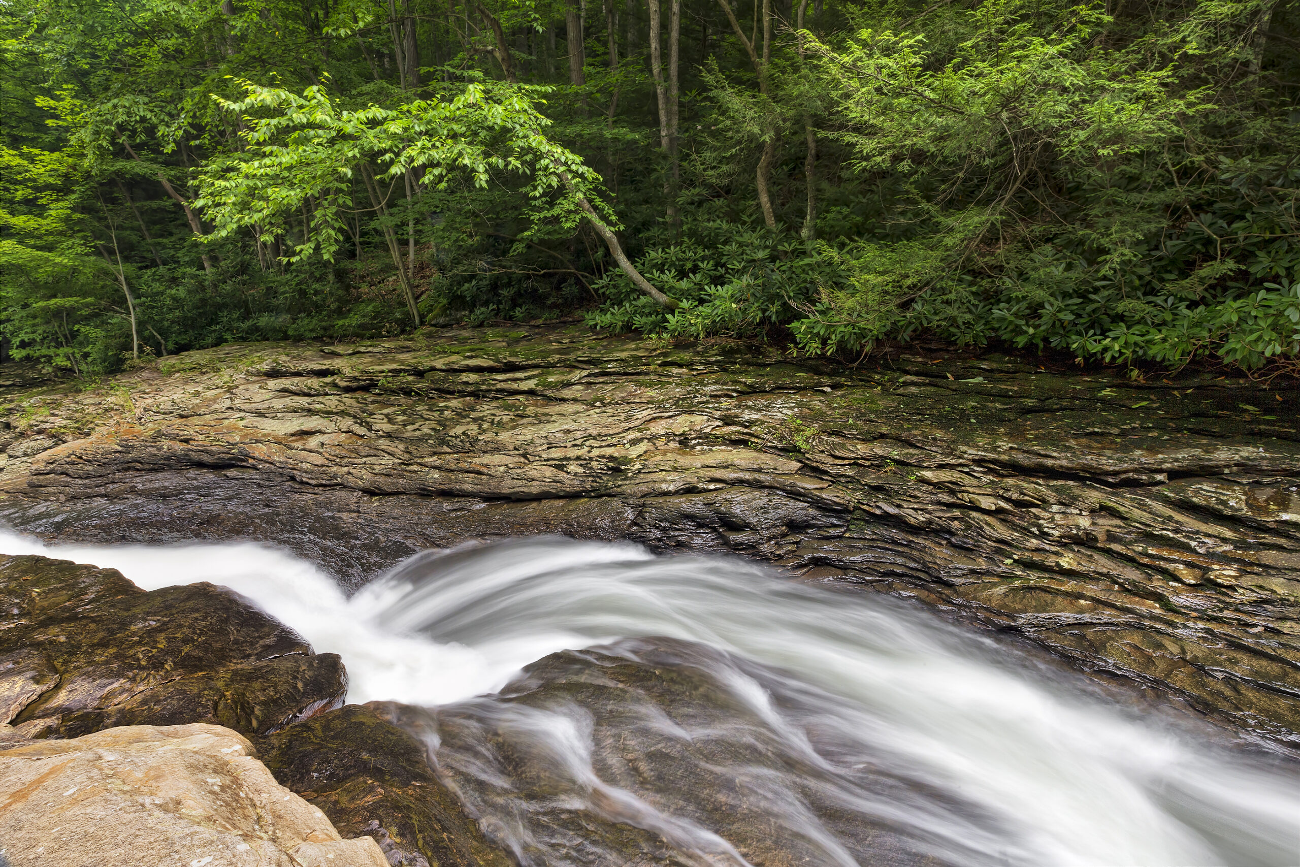 Whitewater in Ohiopyle State Park in PA